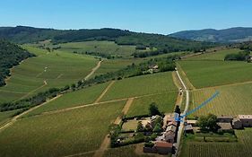 Le Tinailler Grand Standing Au Coeur Des Vignes